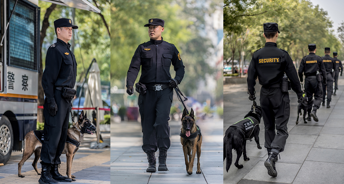 北京特卫于2019年派出精锐犬防专业安保团队人犬协同安保联动圆满完成